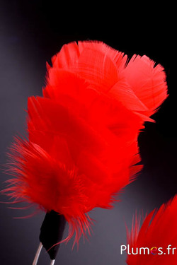 Plumet dinde avec anneau -  hauteur 15 cm - rouge
